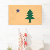 Historische Flagge Maine (1901-1909) Banner (Insitu)