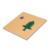 Historische Flagge Maine (1901-1909) Fliese (Seite)