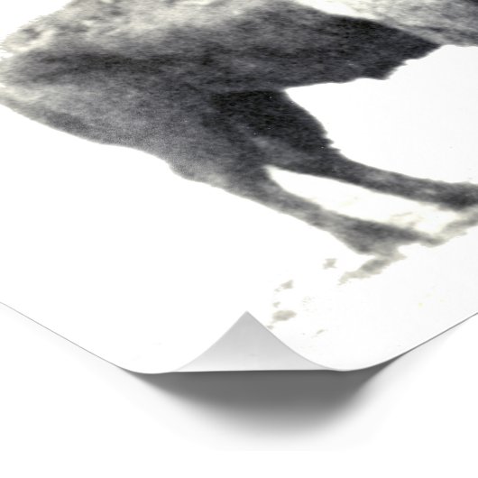 Historische Fotografie des amerikanischen Bison (Ecke)