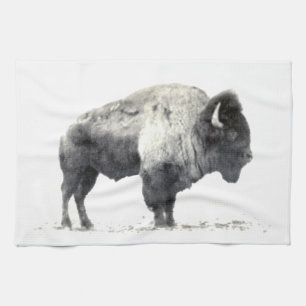 Historische Fotografie des amerikanischen Bison Küchentuch