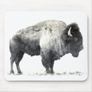 Historische Fotografie des amerikanischen Bison Mousepad