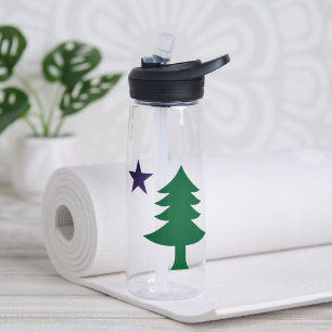 Historische Pine Tree Flagge von Maine (1901–1909) Trinkflasche