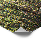 Historische Potato Creek Holzhütte...... Poster (Ecke)