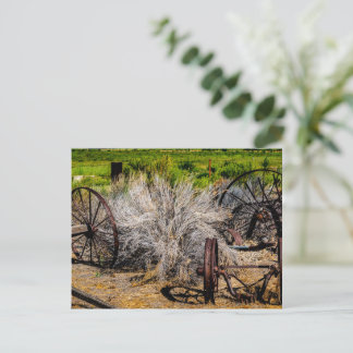 Historische Ranchräder Glänzend Postkarte