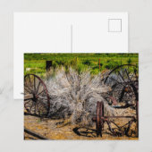 Historische Ranchräder Glänzend Postkarte (Vorne/Hinten)