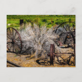Historische Ranchräder Glänzend Postkarte (Vorderseite)
