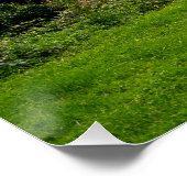 Historische St. Asaph-Brücke über den Elwy Poster (Ecke)