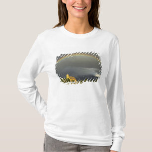 Historische St. Ignatius-Mission in St. Ignatius, T-Shirt