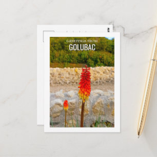 Historische Wildblumen-Ruinen individuell Postkarte