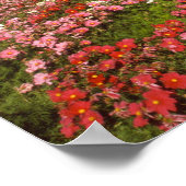 Historischer Bahnhof, Dunedin, Neuseeland Poster (Ecke)