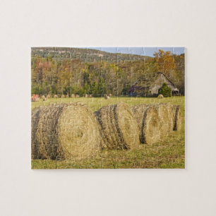 Historischer Bauernhof am Buffalo National River, Puzzle