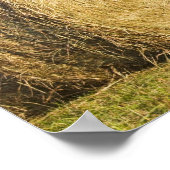 Historischer Bauernhof im Buffalo National River, Poster (Ecke)