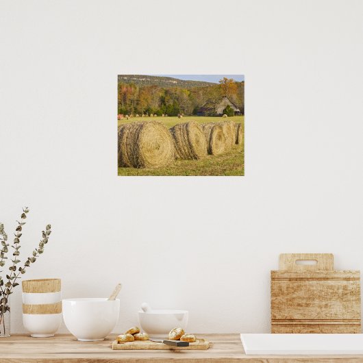 Historischer Bauernhof im Buffalo National River, Poster (Küche)