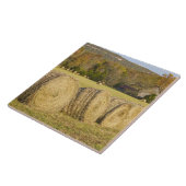 Historischer Bauernhof im Büffel-nationalen Fluss, Fliese (Seite)