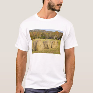 Historischer Bauernhof im Büffel-nationalen Fluss T-Shirt