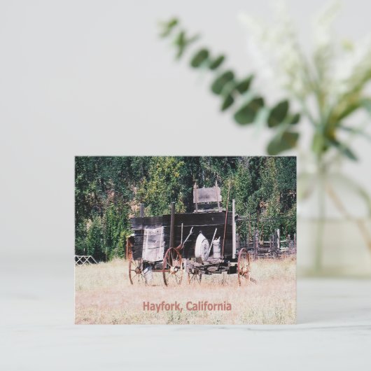 Historischer Goldrausch...... Postkarte (Stehend Vorderseite)