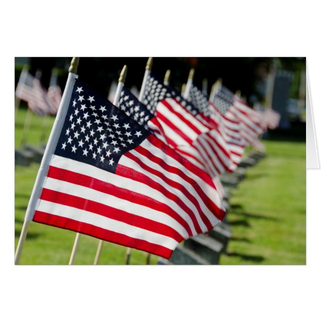 Historischer militärischer Friedhof mit US-Flaggen (Vorderseite (Horizontal))