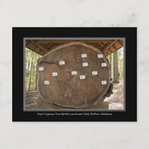 Historischer Sehenswürdigkeit Park, Dothan Alabama Postkarte