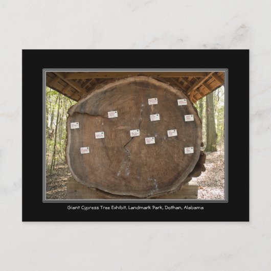 Historischer Sehenswürdigkeit Park, Dothan Alabama Postkarte (Vorderseite)