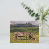 Historischer Wagen in einer Weide Links Postkarte (Stehend Vorderseite)