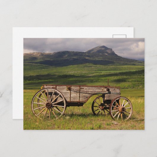 Historischer Wagen in einer Weide Links Postkarte (Vorne/Hinten)