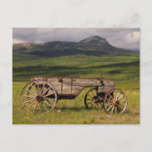 Historischer Wagen in einer Weide Links Postkarte (Vorderseite)