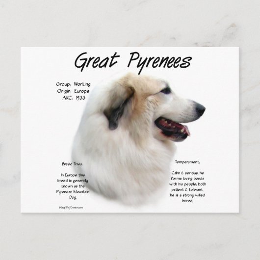 Historisches Design der Pyrenäen Postkarte (Vorderseite)