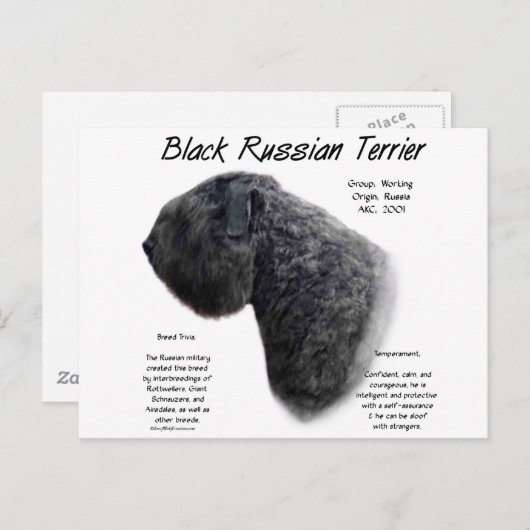 Historisches Design für schwarze Russische Terrier Postkarte (Vorne/Hinten)