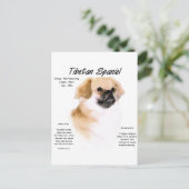 Historisches Design Tibets Postkarte (Stehend Vorderseite)