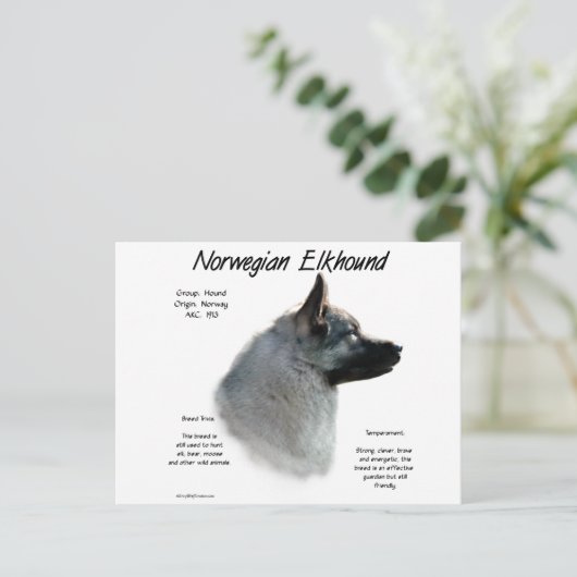 Historisches Design von Norwegisch-Elkhound Postkarte (Stehend Vorderseite)