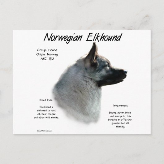 Historisches Design von Norwegisch-Elkhound Postkarte (Vorderseite)