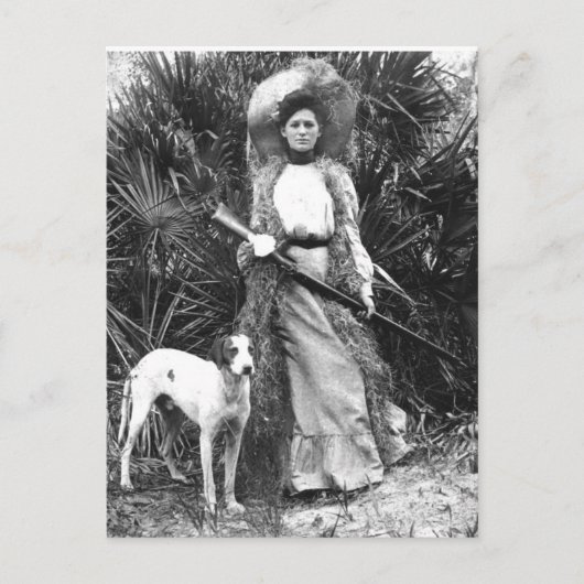 Historisches Florida Postkarte (Vorderseite)