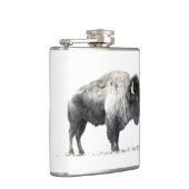 Historisches Foto von American Bison Flachmann (Rechts)
