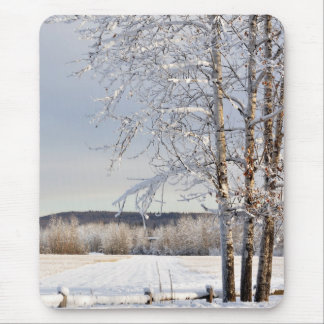 Historisches Molkerei-Feld im Winter - Alaska Mousepad