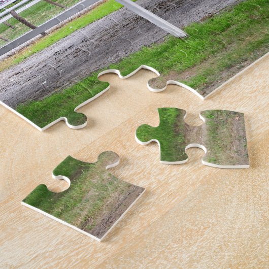 Historisches Saratoga und Clare-Gericht Puzzle (Seite)