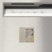 Historisierter Anfangswert "P" Magnet (In Situ (Geschirrspüler))