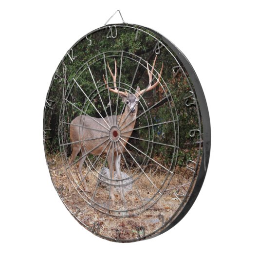 HIT DER EIGENSTART DARTSCHEIBE (Vorderseite rechts)