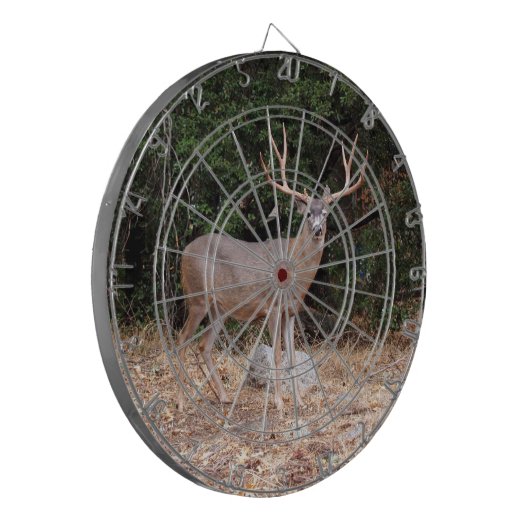 HIT DER EIGENSTART DARTSCHEIBE (Vorderseite Links)