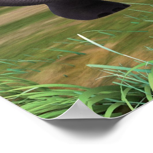 Hita 2 poster (Ecke)