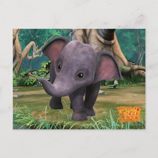 Hita Postkarte (Vorderseite)