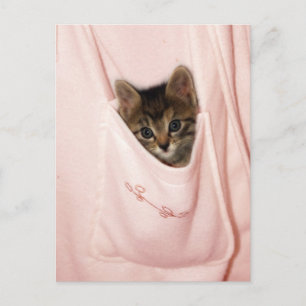 Hitchwandern Postkarte