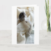 "Hive" digital veränderter Waschnest auf Fabric Karte (Vorderseite)