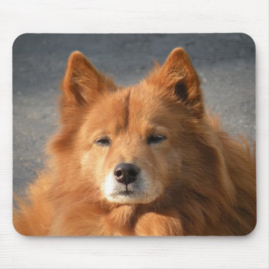 'Hiya!' Mousepad (Vorne)