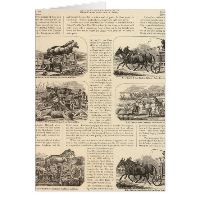 HL Emory und Sons (Vorne)