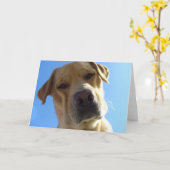 Hm? Karte (Gelbe Blume)