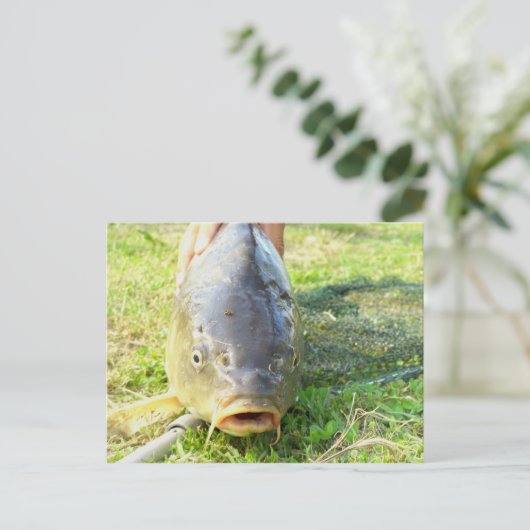 Hm? Postkarte (Stehend Vorderseite)