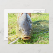 Hm? Postkarte (Vorne/Hinten)