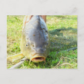 Hm? Postkarte (Vorderseite)