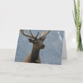 Hmmm, anscheinend hast du einen Geburtstag. Karte (Rückseite)