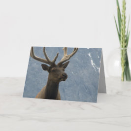 Hmmm, anscheinend hast du einen Geburtstag. Karte